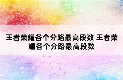 王者荣耀各个分路最高段数 王者荣耀各个分路最高段数